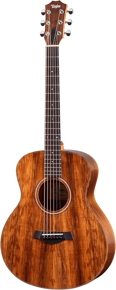 Amazon.com: Taylor GS Mini-e Solid Koa Top ESB w/Gig Bag with case
