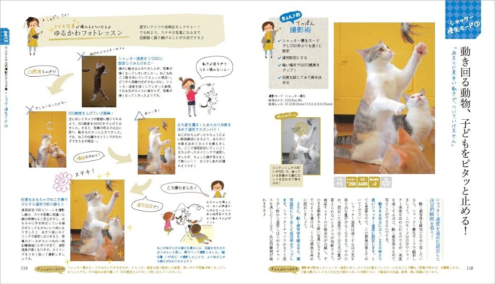 いちばんていねいでわかりやすい はじめてのデジタル一眼 撮り方超入門