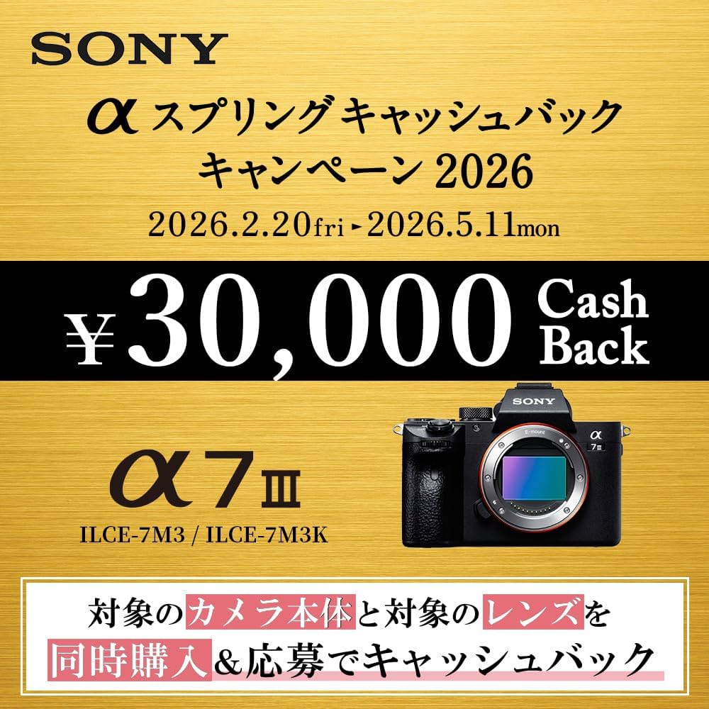 Amazon | SONY(ソニー) フルサイズ ミラーレス一眼カメラ α7III ズーム