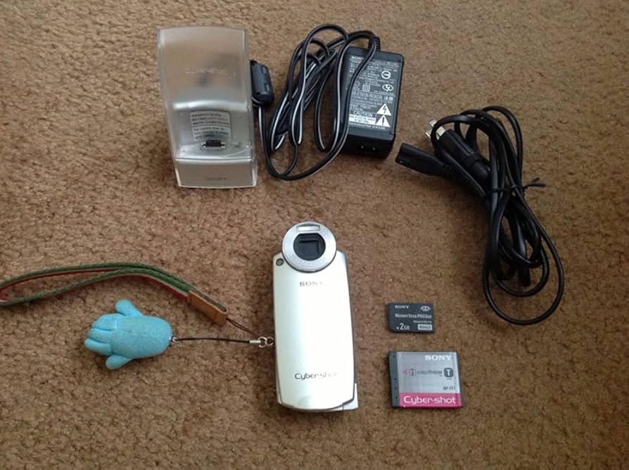 Amazon.com : Sony Cybershot DSC-M2 5.1MP Digital Camera with 3x