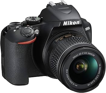Amazon.com : Nikon D3500 24.2MP DX-Format DSLR Digital Camera with