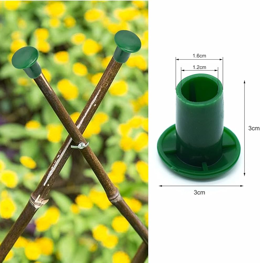 71xiF3Q6UbS._AC_UF1000,