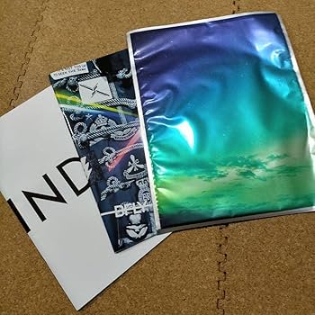 Amazon.co.jp: BUMP OF CHICKEN バンプオブチキン バンプ グッズ