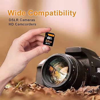 Amazon.com: Panasonic Lumix DMC-FZ300 Digital Camera Memory Card