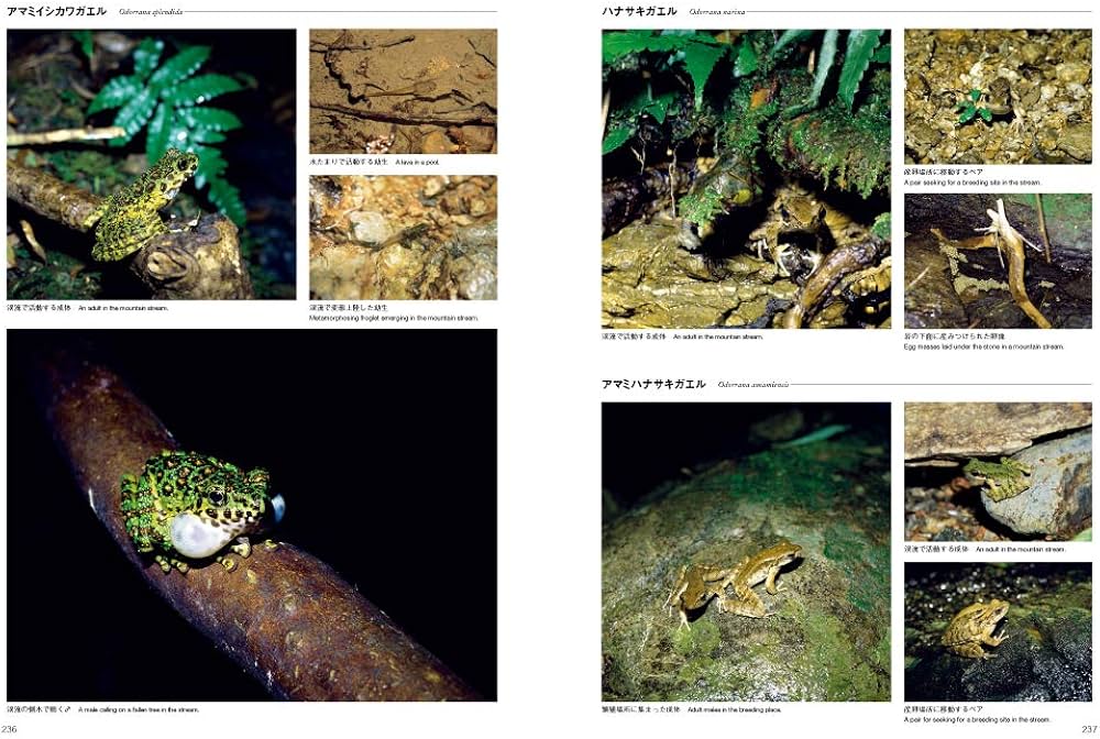 71yCsExJAaL._AC_UF1000,