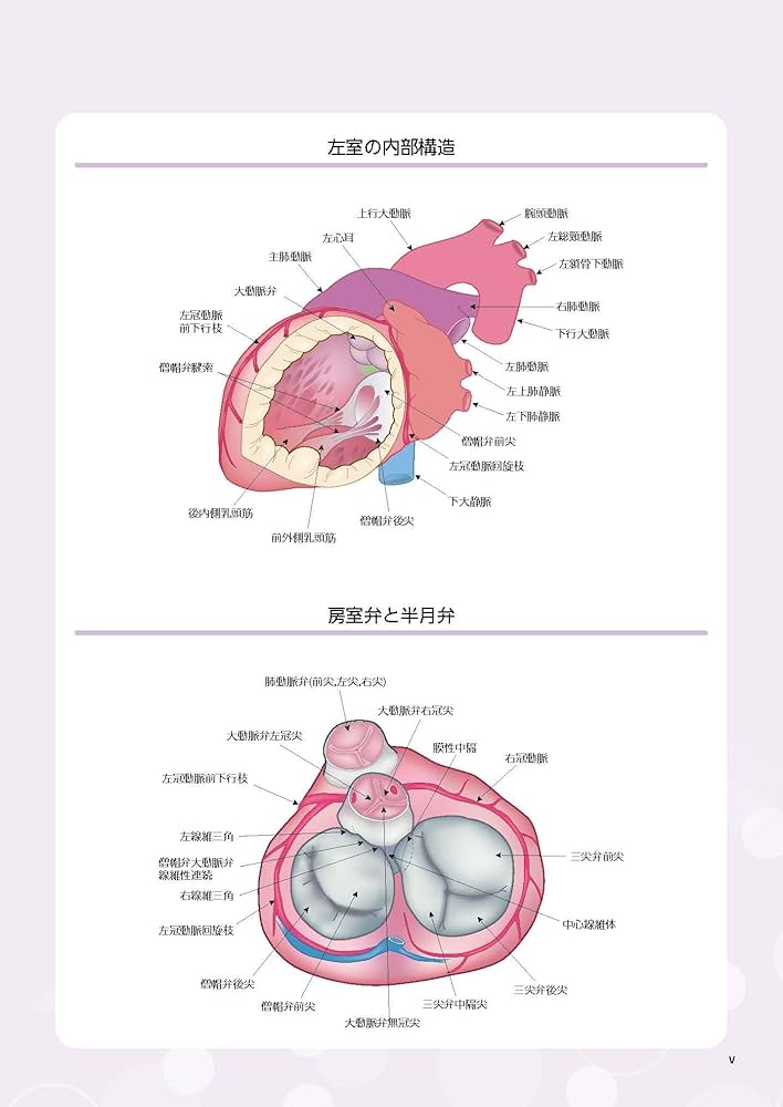 小児・成育循環器学 改訂第2版 | 日本小児循環器学会 |本 | 通販 | Amazon