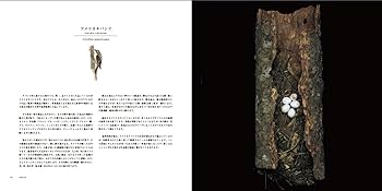 写真集 鳥の巣 50個の巣と、50種の鳥たち | シャーロン・ビールズ