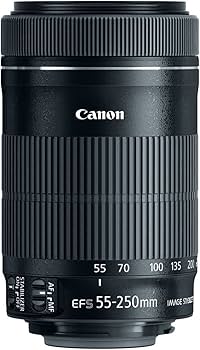Amazon.com : Canon EF-S 55-250mm F4-5.6 is STM, Telephoto, Black