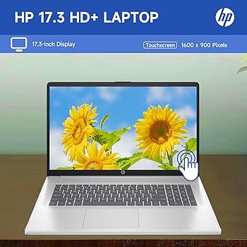 Amazon.com: HP 17.3