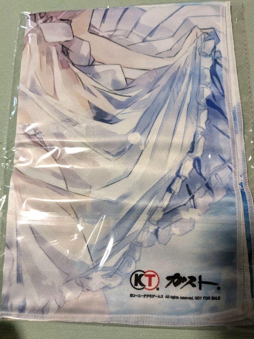 Amazon.co.jp: フィリスのアトリエ 不思議な旅の錬金術士 描き下ろし