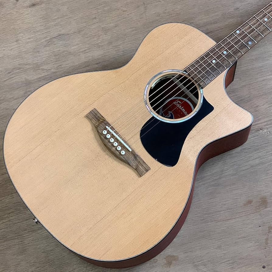 Amazon.co.jp: イーストマン エレクトリック アコースティックギター