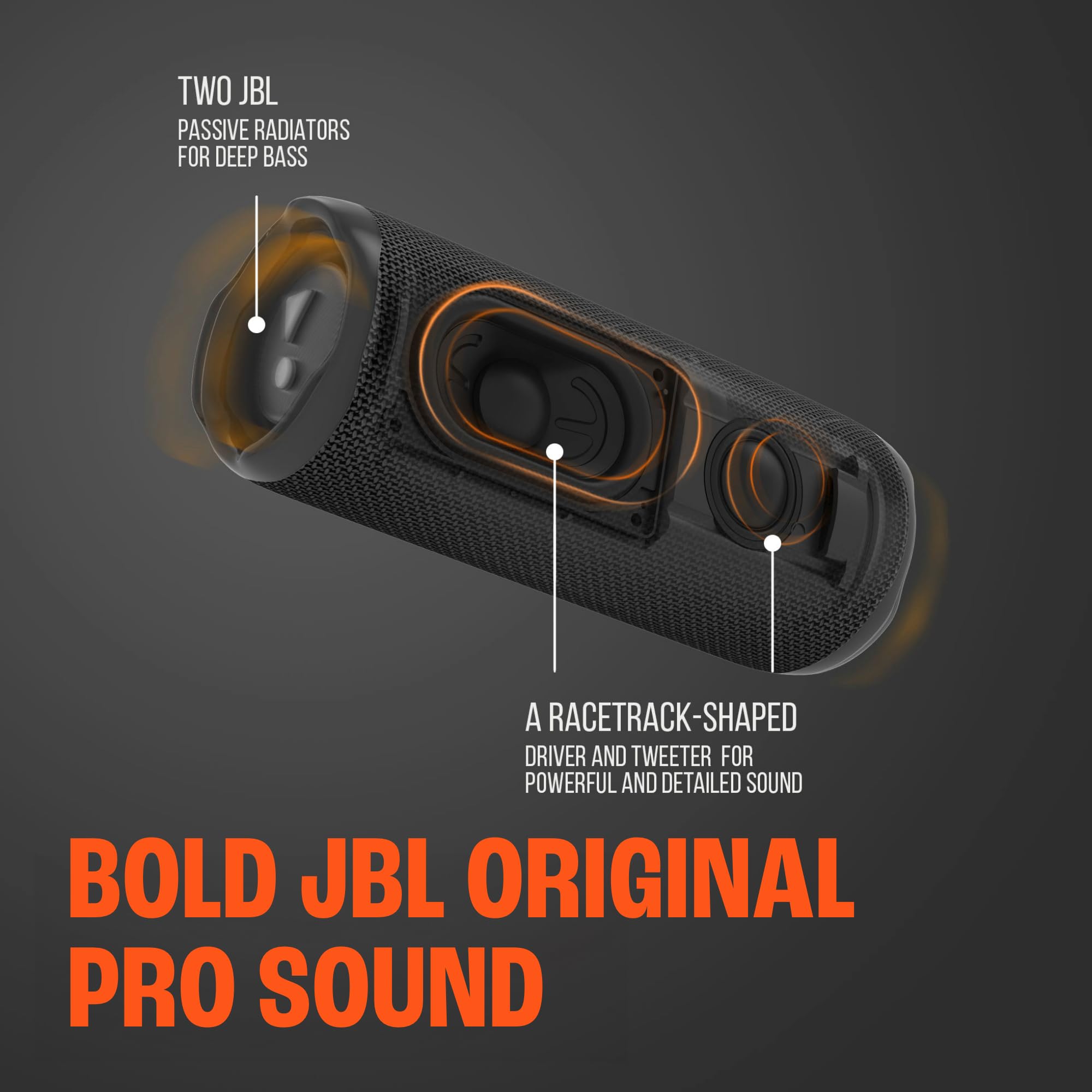 Amazon.com: JBL Flip 6 (Black) + Bundle with divvi! Protective