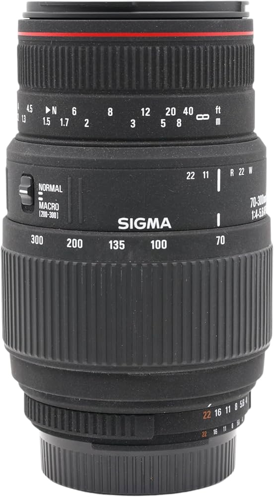 Amazon.com : Sigma 70-300mm f/4-5.6 APO Macro Super Lens for Nikon