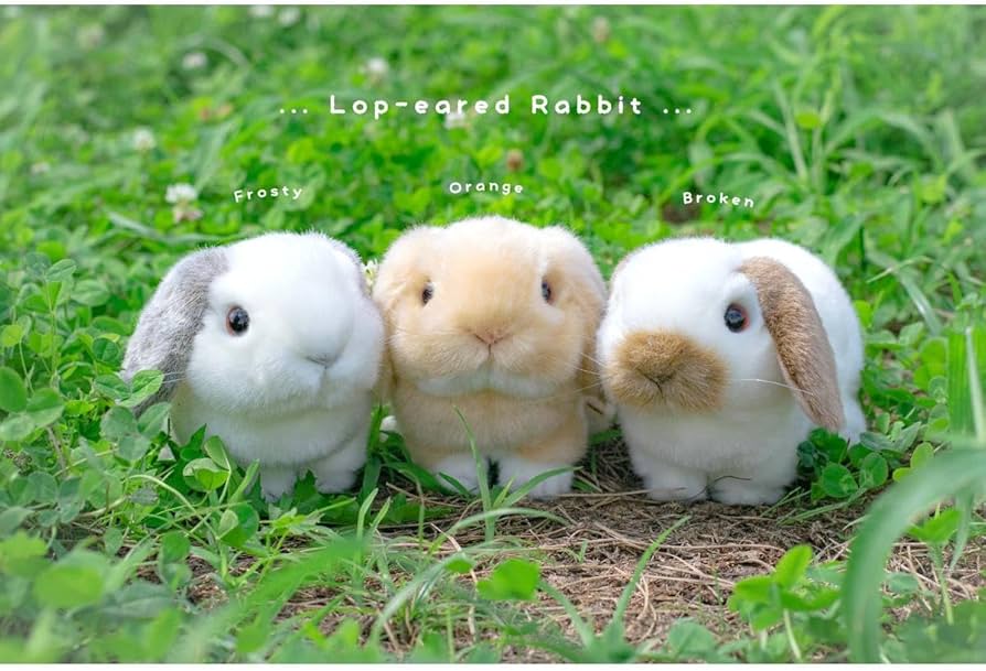 Amazon.co.jp: 吉徳 りくのなかまたち ロップイヤーウサギ ぬいぐるみ