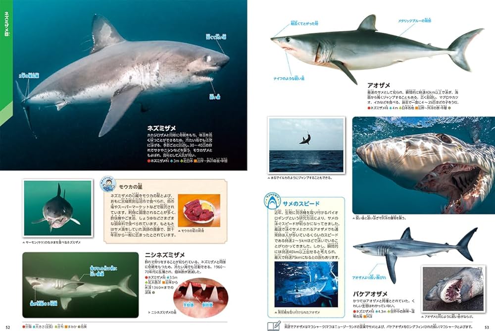 Amazon.co.jp: サメ (学研の図鑑LIVEエクストリーム) : アクアワールド