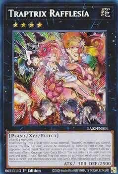 71zh7tqlMOL._AC_UF350,