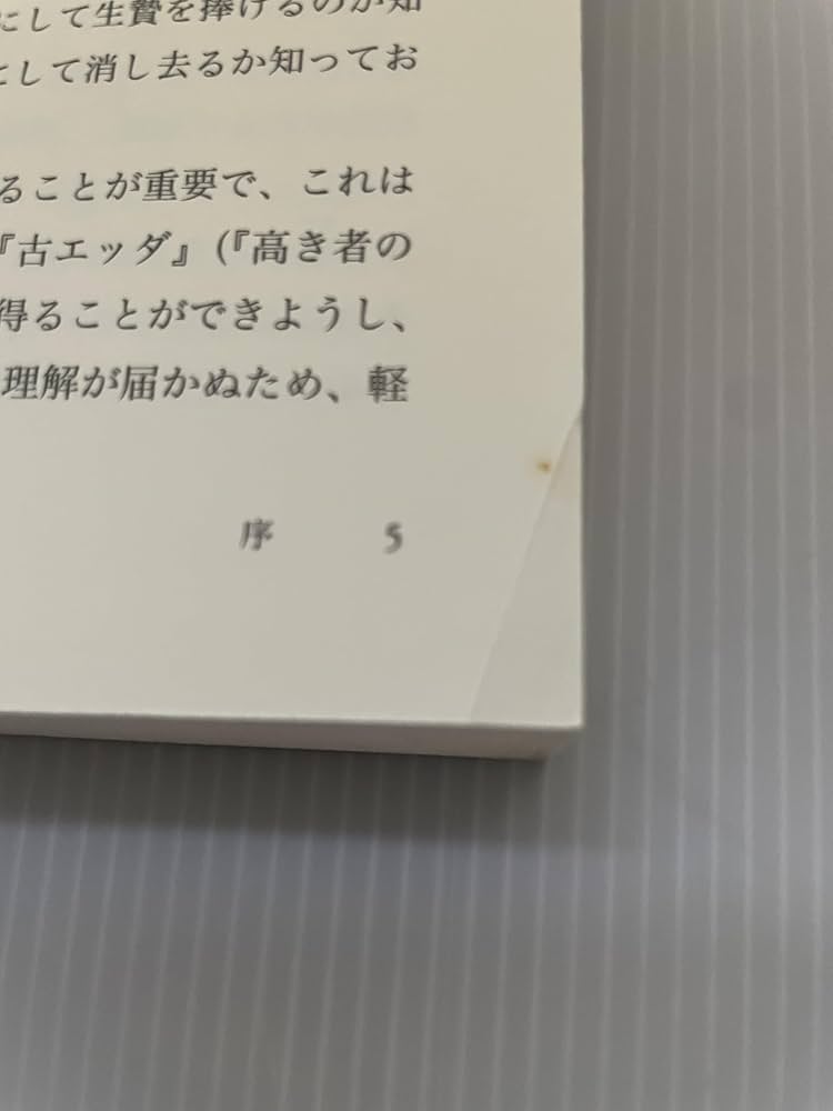 ルーン文字の世界: 歴史・意味・解釈 | ラーシュ・マーグナル