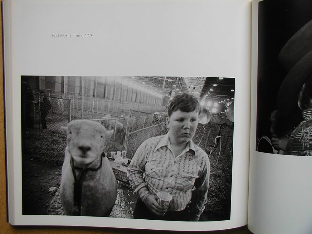 71AD5zcqRUL._AC_UF1000,