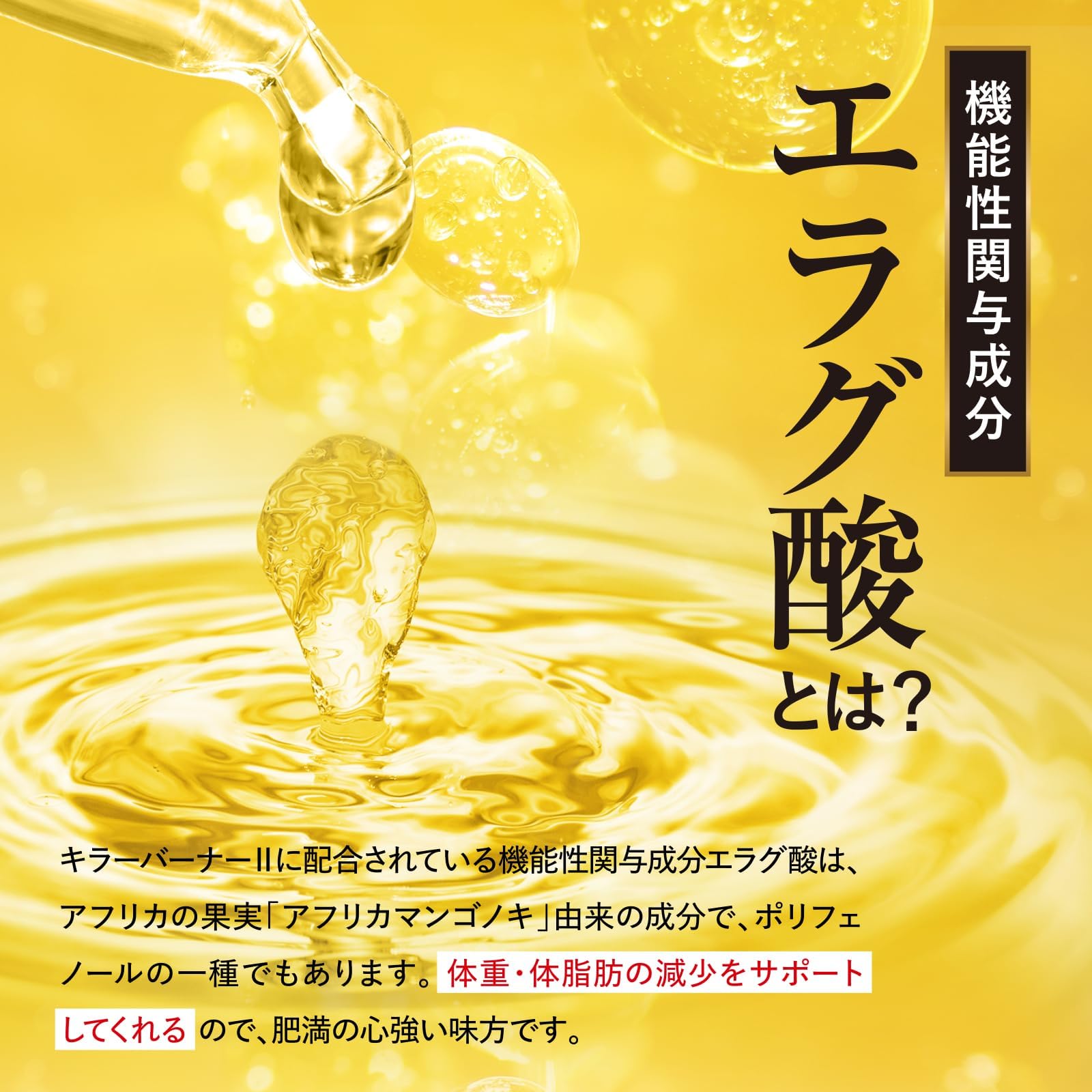 Amazon | 【公式】倖田來未 完全プロデュース キラーバーナー 2 機能性