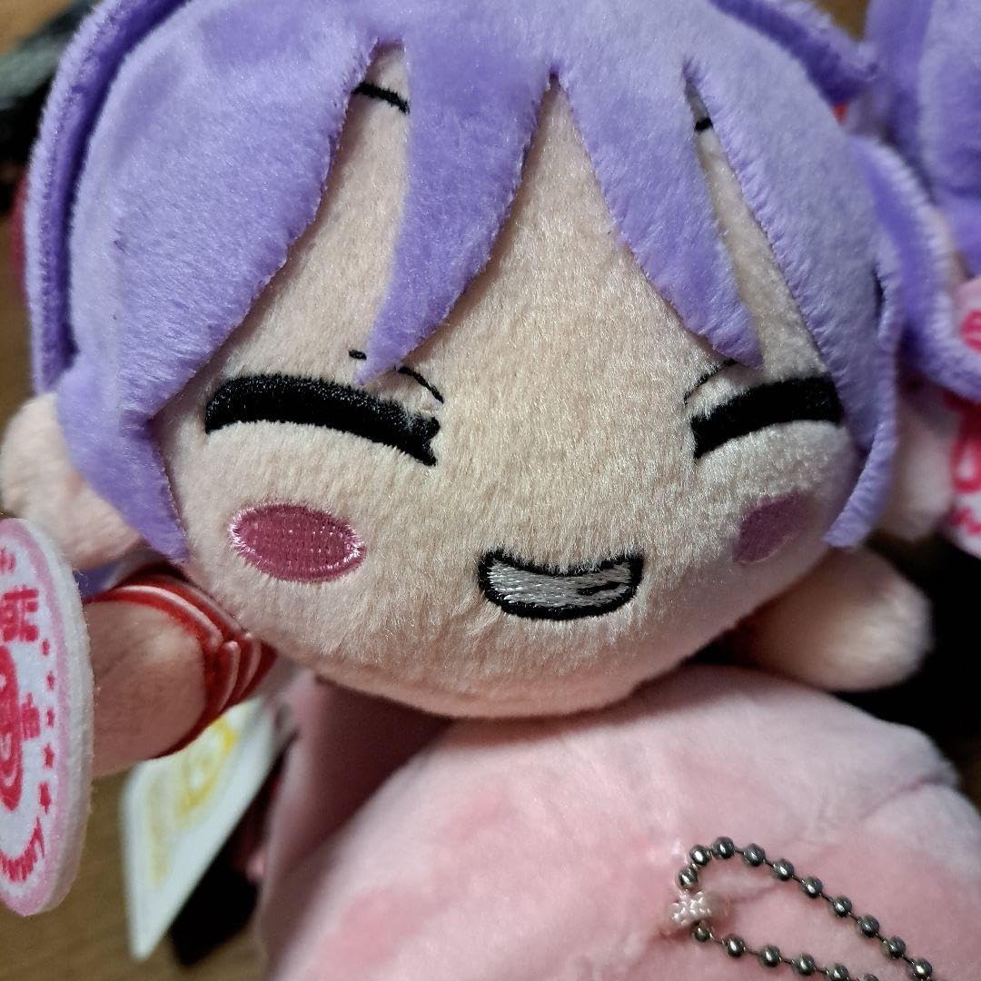 Amazon.co.jp: らき☆すた TVアニメ10周年記念 寝そべりぬいぐるみ