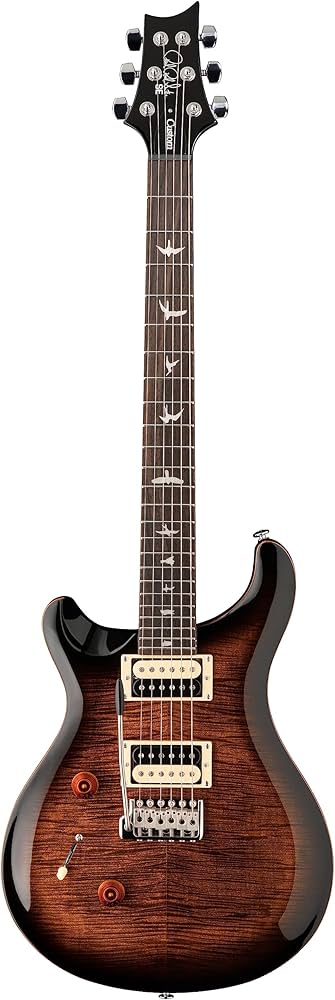 Amazon | SE Custom24 Lefty Black Gold Burst | エレキギター | 楽器