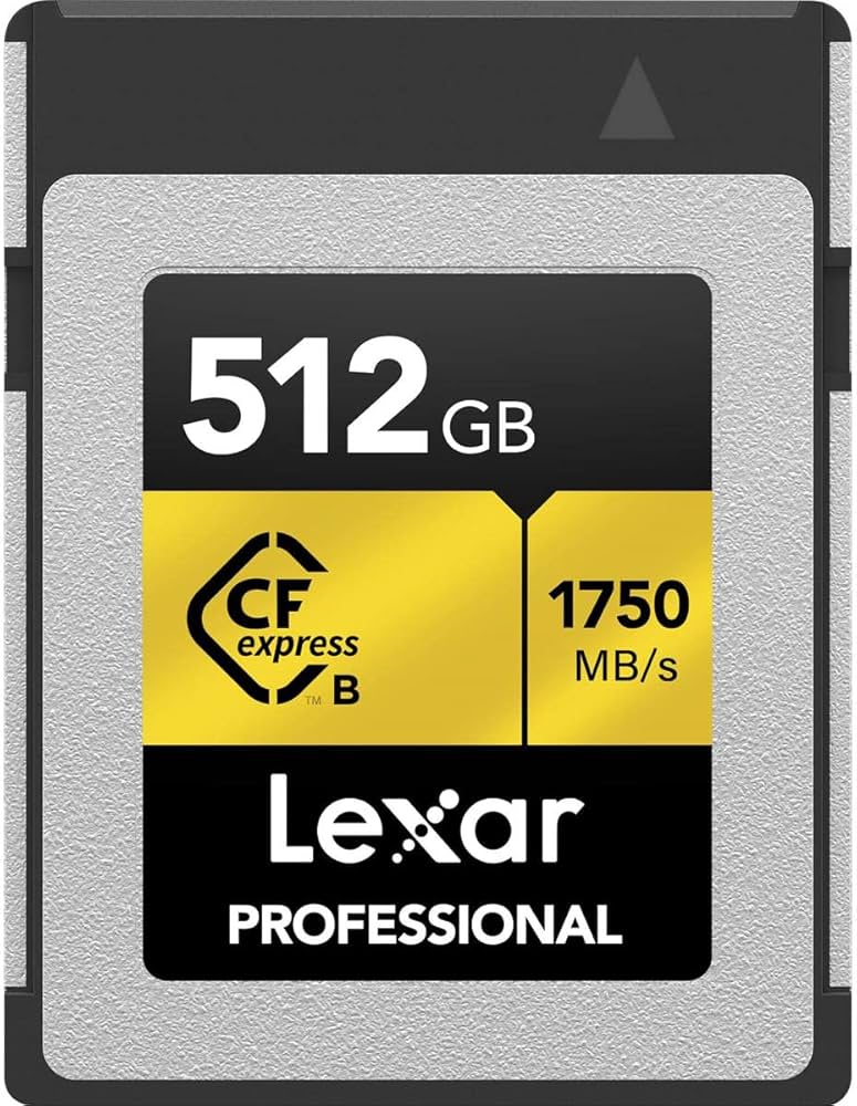 Amazon.com: Lexar 512GB Professional CFexpress Type B Memory Card