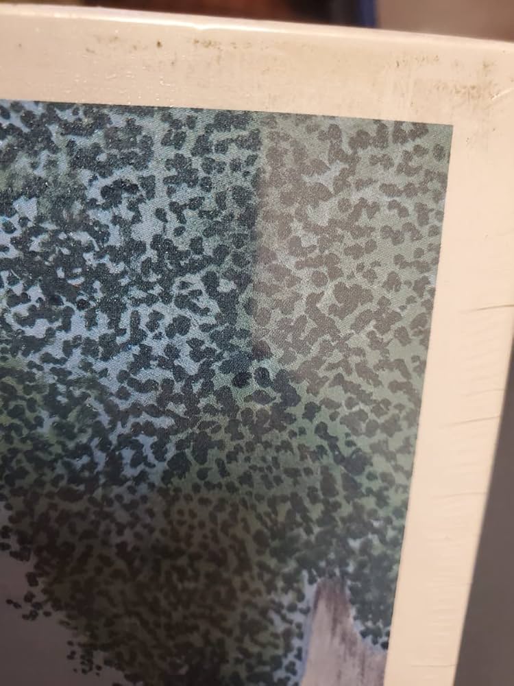 ジグソーパズル 1000ピース マリアージュ レイモン・ペイネ Amazon