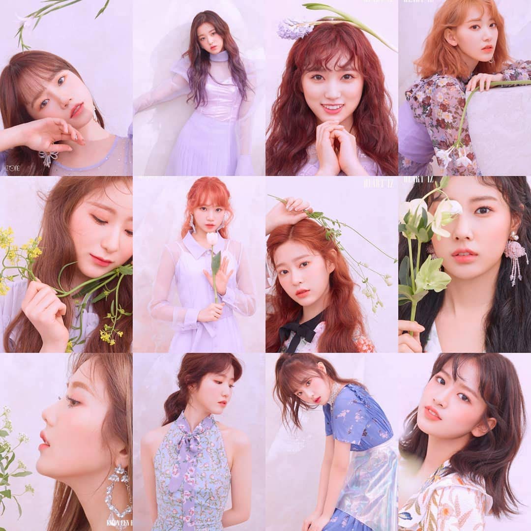 Amazon.co.jp: IZ*ONE [HEART*IZ POP UP STORE ] 限定購入特典