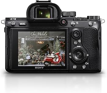 Amazon.com : Sony α7 III Full-Frame Mirrorless Camera Body (ILCE