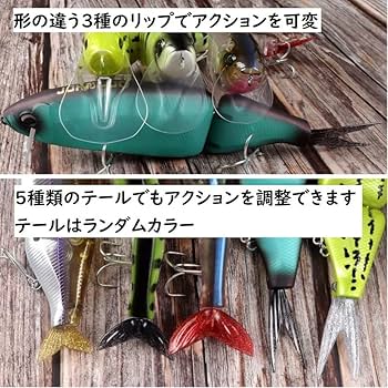 Amazon.co.jp: チャイニークラッシュ 160mm 83g テール5種とリップ3個