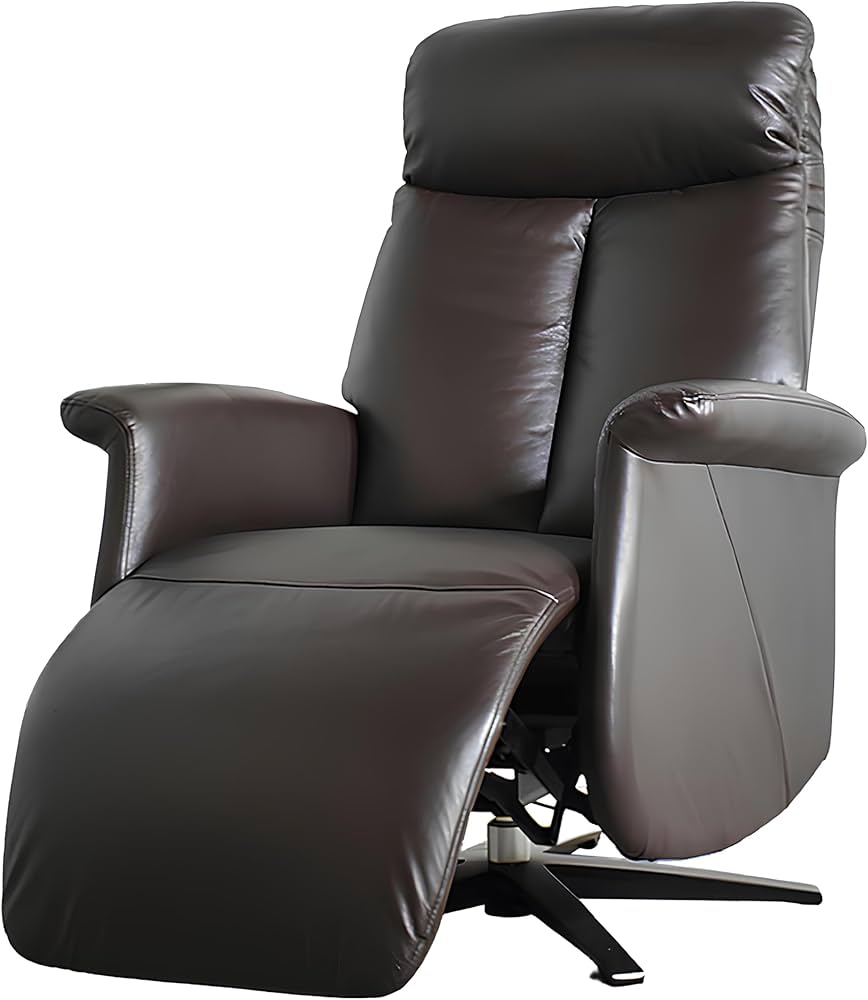 Amazon｜電動ソファ 電動リクライニングチェア 回転 2モーター 1人 1人