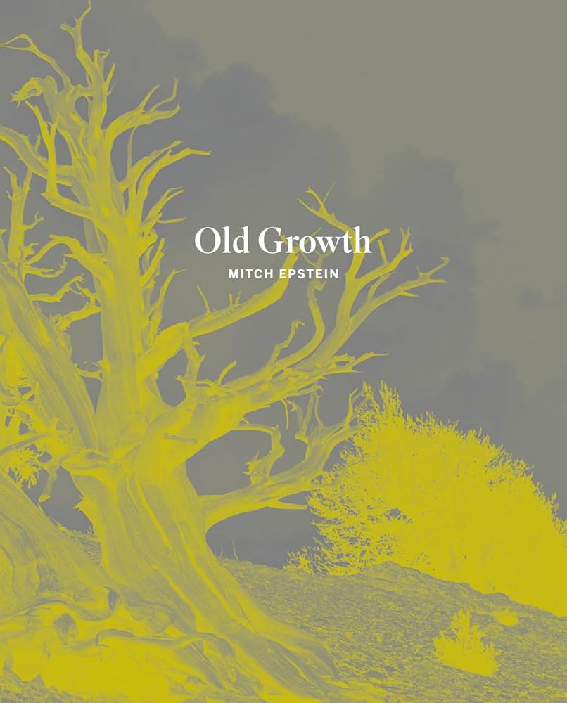 Amazon.com: Mitch Epstein: Old Growth: 9783969993200: Bell, Susan