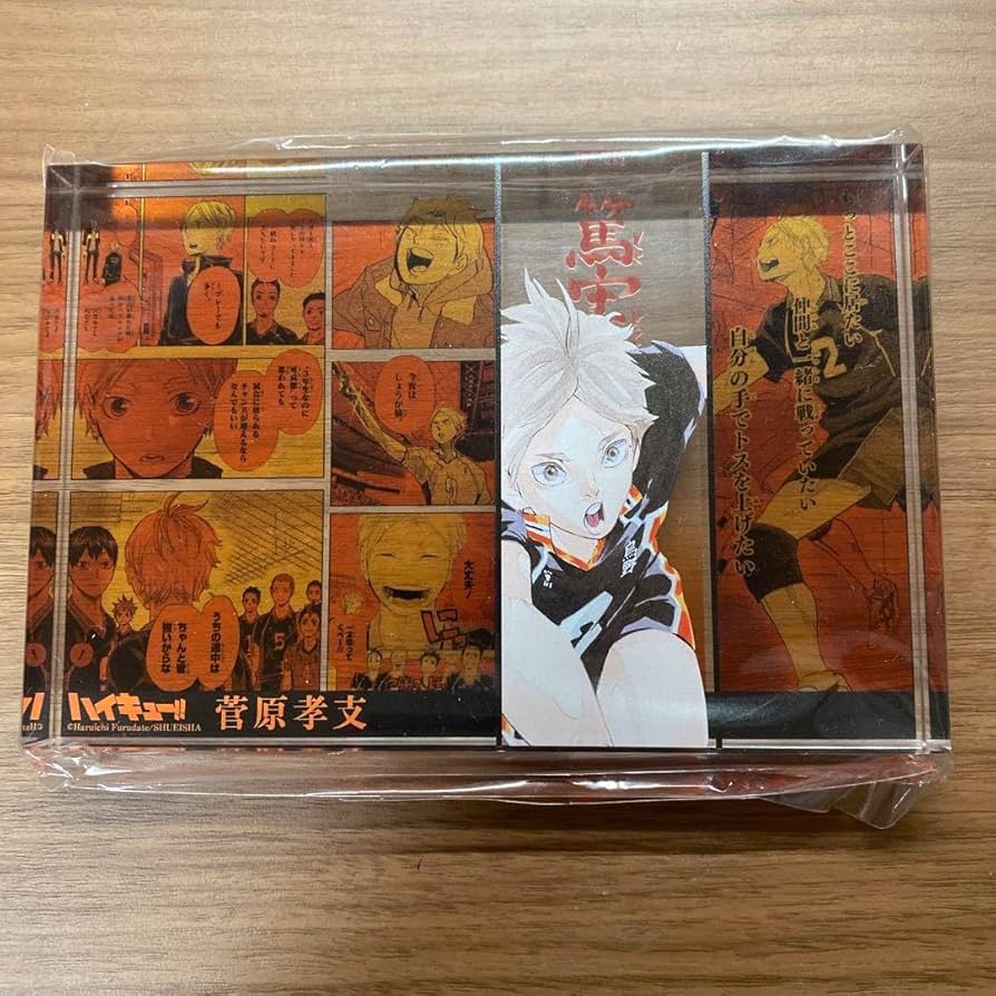 ハイキュー 菅原孝支 バースデー缶バッジ 2023 原作新商品情報＞ 【2月