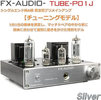 Amazon.co.jp: [即納]FX-AUDIO- TUBE-P01J[シルバー]【チューニング