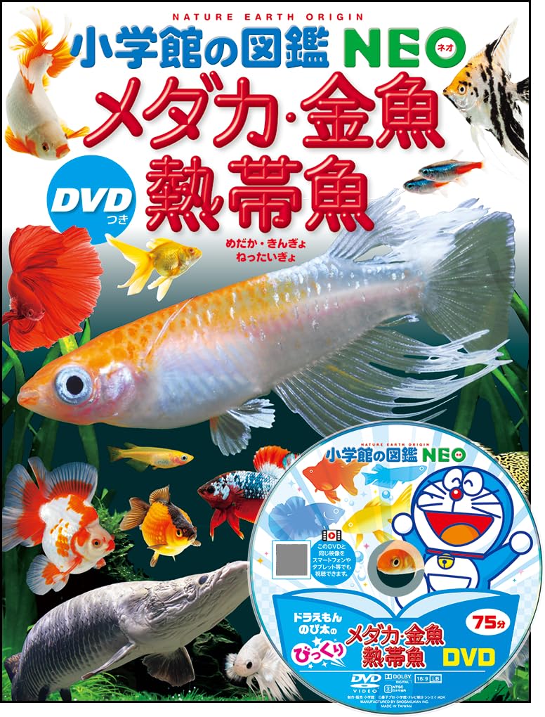 メダカ・金魚・熱帯魚 DVDつき (小学館の図鑑NEO) | 岡本 信明, 橋本