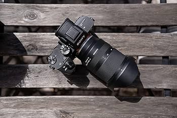 Amazon.co.jp: タムロン ミラーレンズ ズーム ソニー E対応 17-28mm/F2
