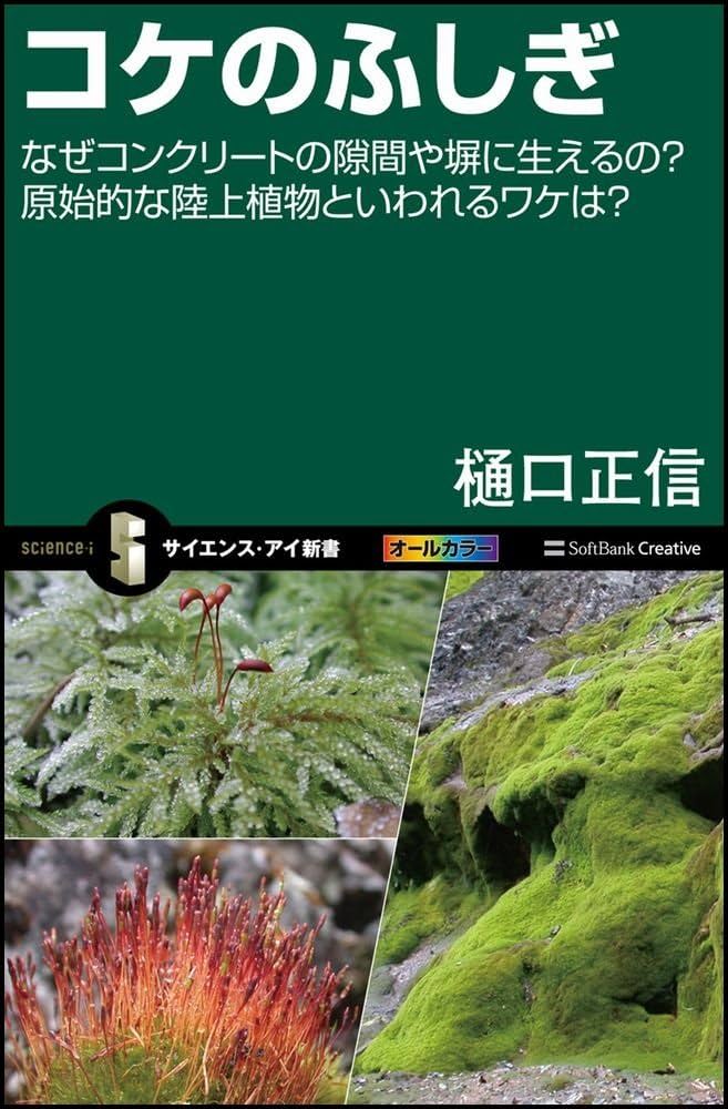 コケのふしぎ なぜコンクリートの隙間や塀に生えるの?原始的な陸上植物