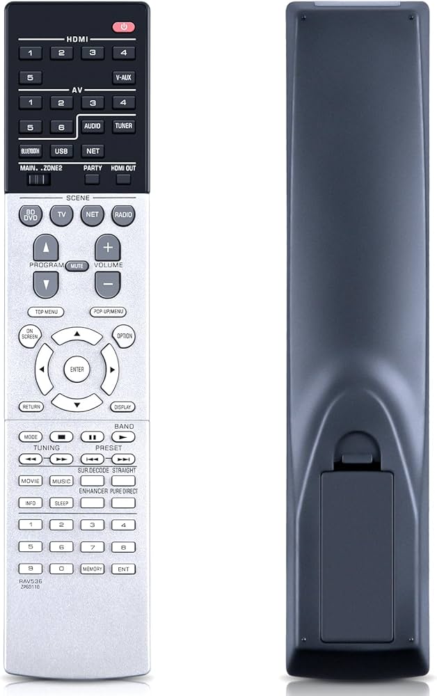 Amazon.com: RAV536 ZP60110 Replacement Remote Control Compatible