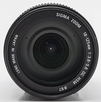 Amazon.com : Sigma 18-125mm F3.8-5.6 DC HSM Lens (67mm Filter
