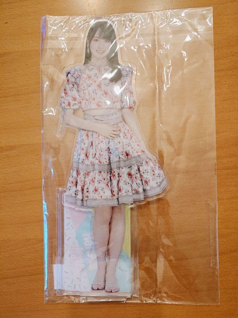 政治学 家政論 (新版 アリストテレス全集 第17巻)