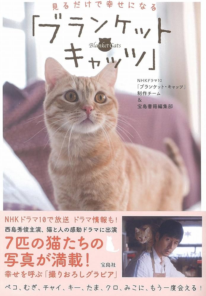 見るだけで幸せになる 「ブランケットキャッツ」 | NHKドラマ10