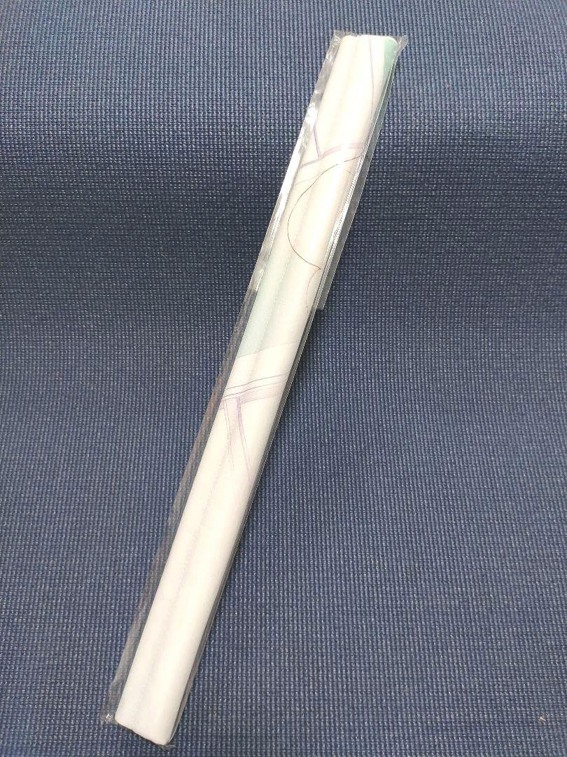 Amazon.co.jp: ホロライブ 湊あくあ C97 まかろん大帝 B2タペストリー