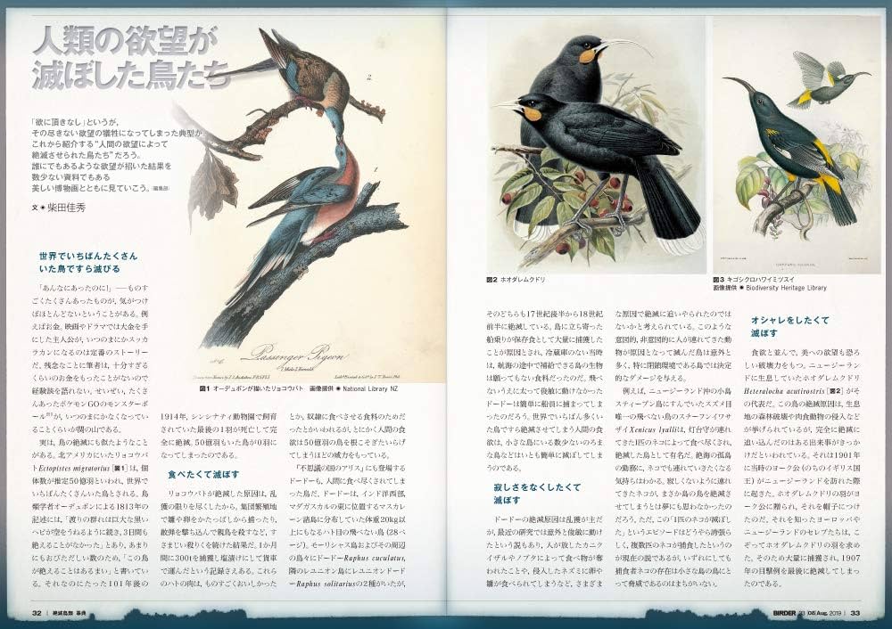 BIRDER(バーダー)2019年8月号 絶滅鳥類事典 | BIRDER編集部 |本 | 通販
