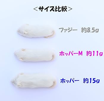 送料無料 冷凍マウスリタイア20匹 ピンクM30匹 ピンクマウス Mサイズ