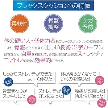 Amazon | サンテプラス フレックスクッション(パールホワイト
