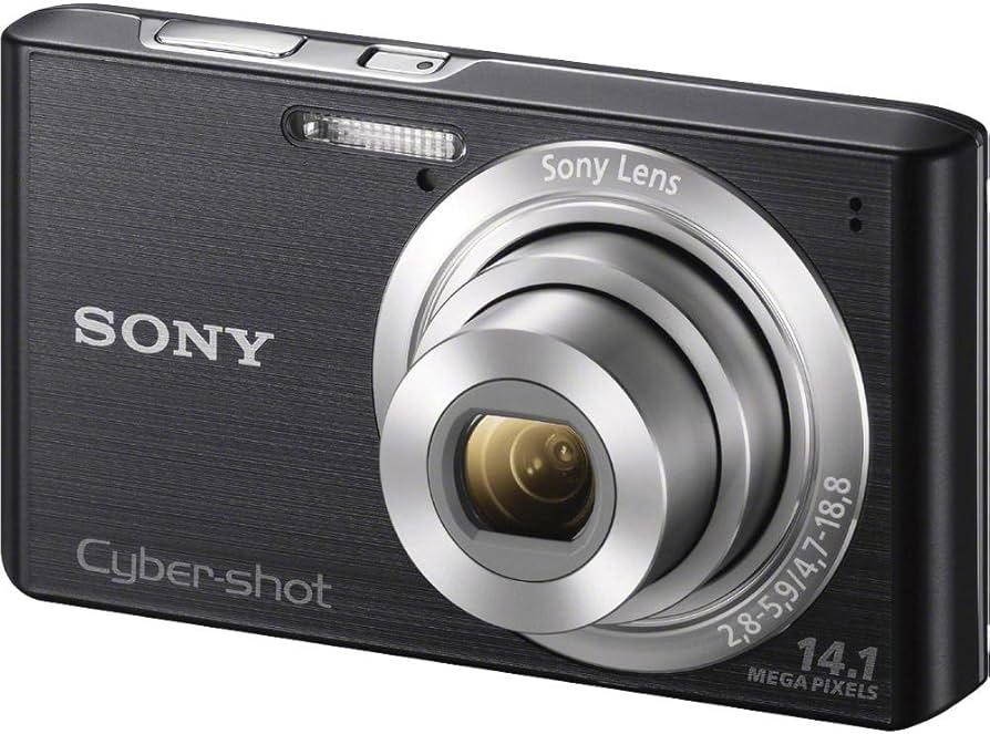 Sony Câmera digital Cyber-shot DSC-W610 de 14,1 MP com zoom óptico
