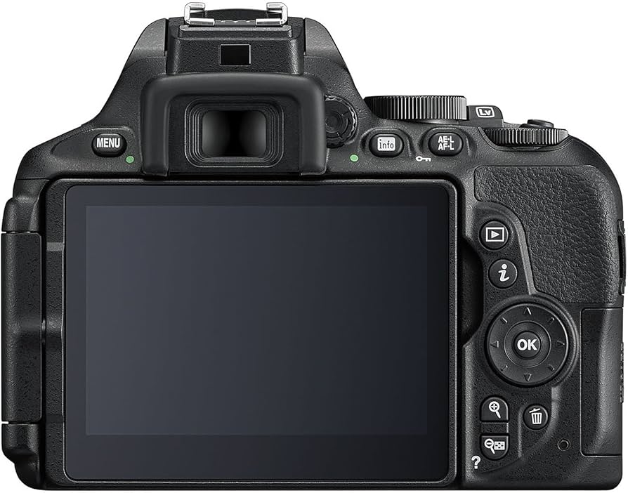 Amazon Canada: Nikon D5600 24.2MP DSLR Touchscreen Camera with