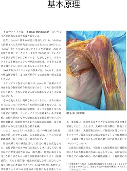 Amazon.co.jp: 筋膜マニピュレーション 理論編 原著第2版: 筋骨格系
