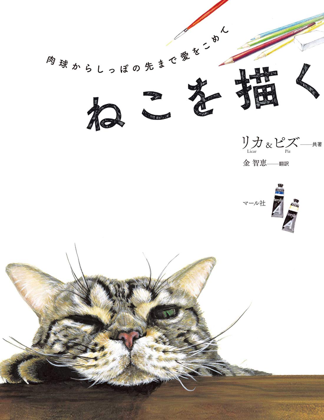 Amazon.co.jp: ねこを描く : リカ&ピズ, 金智恵: 本