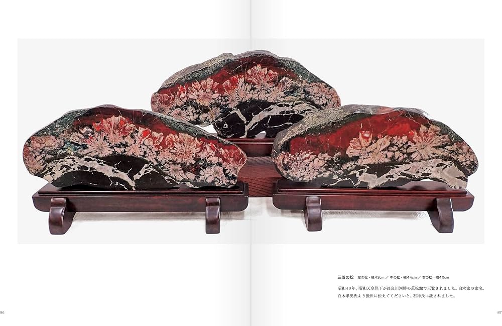 71FSs7eErkL._AC_UF1000,